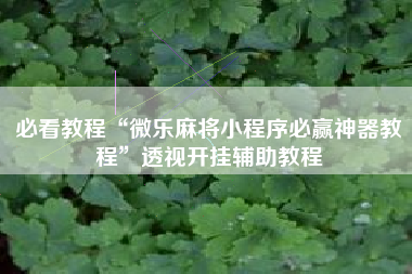 必看教程“微乐麻将小程序必赢神器教程	”透视开挂辅助教程