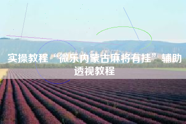 实操教程“微乐内蒙古麻将有挂”辅助透视教程