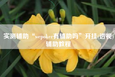 实测辅助“wepoker有辅助吗	”开挂(透视)辅助教程