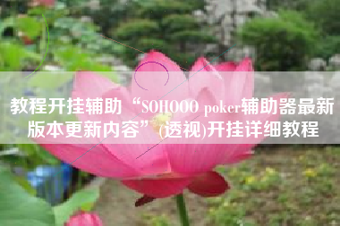 教程开挂辅助“SOHOOO poker辅助器最新版本更新内容”(透视)开挂详细教程