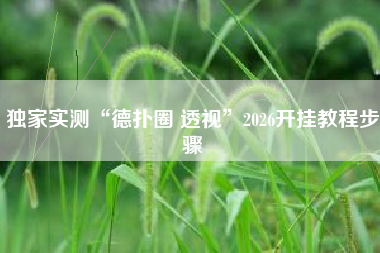 独家实测“德扑圈 透视”2026开挂教程步骤