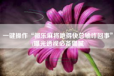 一键操作“微乐麻将跑得快总输咋回事”(曝光透视必备猫腻