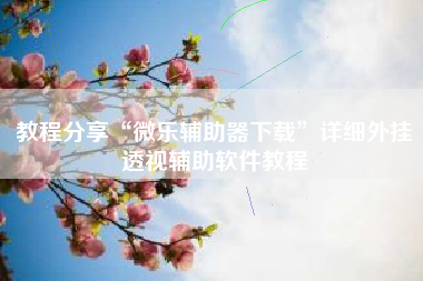 教程分享“微乐辅助器下载”详细外挂透视辅助软件教程