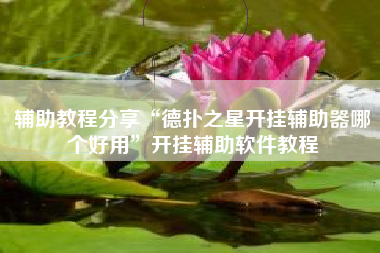 辅助教程分享“德扑之星开挂辅助器哪个好用”开挂辅助软件教程