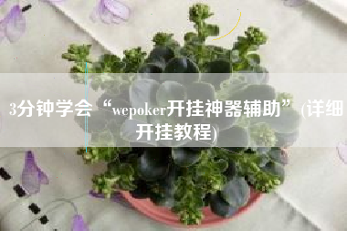3分钟学会“wepoker开挂神器辅助	”(详细开挂教程)
