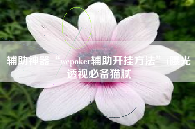 辅助神器“wepoker辅助开挂方法”(曝光透视必备猫腻