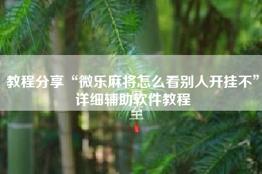 教程分享“微乐麻将怎么看别人开挂不”详细辅助软件教程
