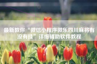 最新教你“微信小程序微乐四川麻将有没有挂”详细辅助软件教程