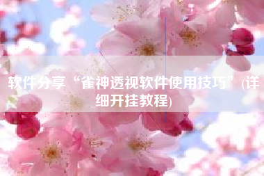软件分享“雀神透视软件使用技巧”(详细开挂教程)