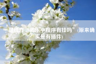 一键操作“微乐小程序有挂吗”(原来确实是有插件)