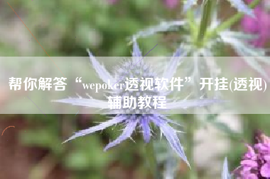 帮你解答“wepoker透视软件”开挂(透视)辅助教程