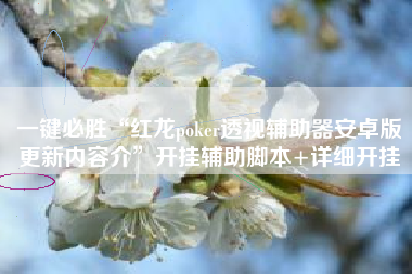 一键必胜“红龙poker透视辅助器安卓版更新内容介”开挂辅助脚本+详细开挂