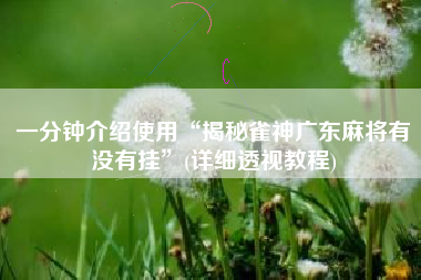 一分钟介绍使用“揭秘雀神广东麻将有没有挂	”(详细透视教程)