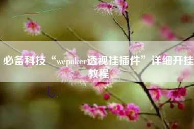 必备科技“wepoker透视挂插件	”详细开挂教程