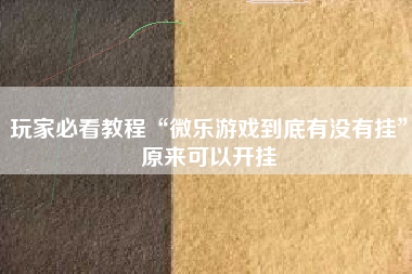 玩家必看教程“微乐游戏到底有没有挂	”原来可以开挂
