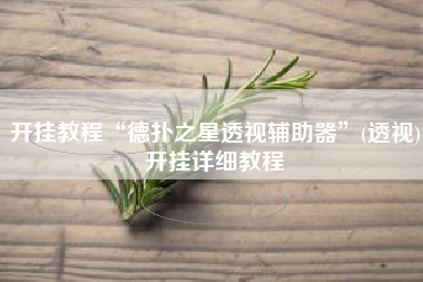 开挂教程“德扑之星透视辅助器”(透视)开挂详细教程