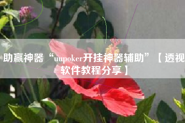 助赢神器“uupoker开挂神器辅助”【透视软件教程分享】