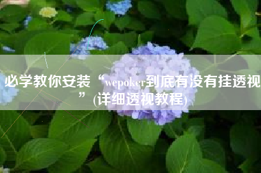 必学教你安装“wepoker到底有没有挂透视”(详细透视教程)
