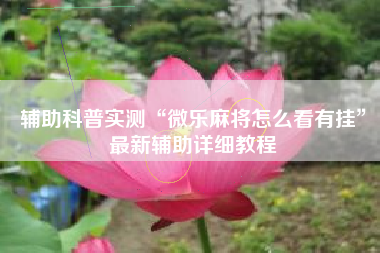 辅助科普实测“微乐麻将怎么看有挂	”最新辅助详细教程