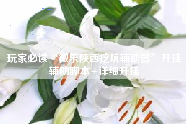 玩家必读“微乐陕西挖坑辅助器	”开挂辅助脚本+详细开挂