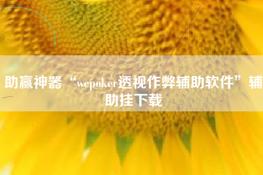 助赢神器“wepoker透视作弊辅助软件	”辅助挂下载