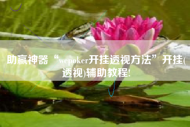 助赢神器“wepoker开挂透视方法”开挂(透视)辅助教程!