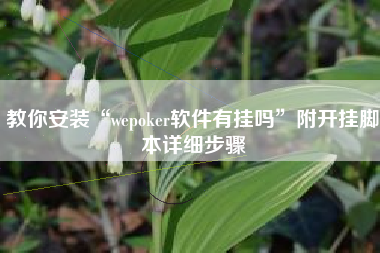 教你安装“wepoker软件有挂吗	”附开挂脚本详细步骤