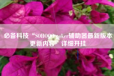 必备科技“SOHOOO poker辅助器最新版本更新内容”详细开挂