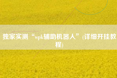 独家实测“wpk辅助机器人”(详细开挂教程)