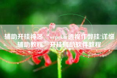 辅助开挂神器“wepoker透视作弊挂!详细辅助教程”开挂辅助软件教程
