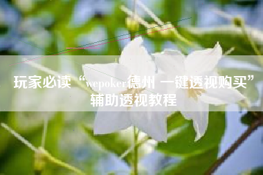 玩家必读“wepoker德州 一键透视购买”辅助透视教程