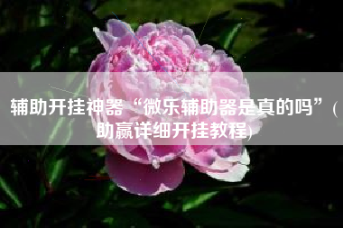 辅助开挂神器“微乐辅助器是真的吗”(助赢详细开挂教程)