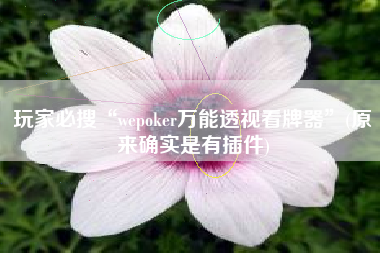 玩家必搜“wepoker万能透视看牌器”(原来确实是有插件)