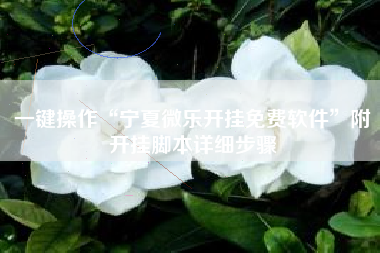 一键操作“宁夏微乐开挂免费软件	”附开挂脚本详细步骤