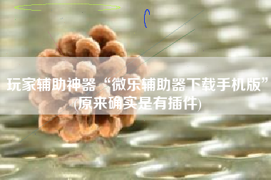 玩家辅助神器“微乐辅助器下载手机版	”(原来确实是有插件)