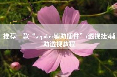 推荐一款“wepoker辅助插件”(透视挂)辅助透视教程