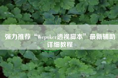 强力推荐“Wepoker透视脚本”最新辅助详细教程