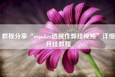 教程分享“wepoker透视作弊挂视频	”详细开挂教程