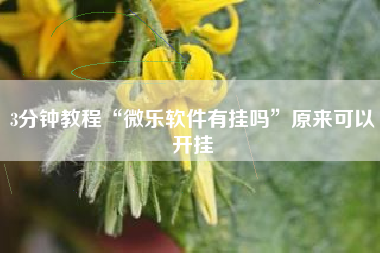 3分钟教程“微乐软件有挂吗”原来可以开挂