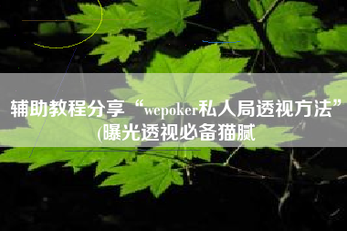 辅助教程分享“wepoker私人局透视方法”(曝光透视必备猫腻