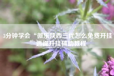 3分钟学会“微乐陕西三代怎么免费开挂”透视开挂辅助教程