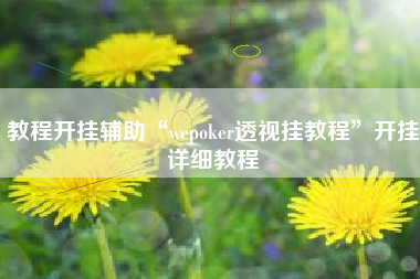 教程开挂辅助“wepoker透视挂教程”开挂详细教程