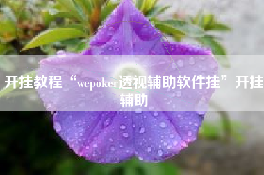 开挂教程“wepoker透视辅助软件挂”开挂辅助