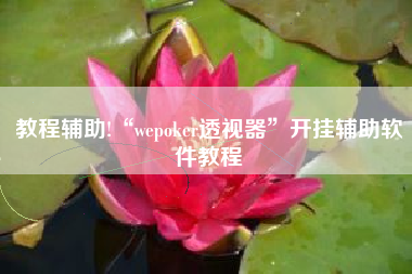 教程辅助!“wepoker透视器”开挂辅助软件教程