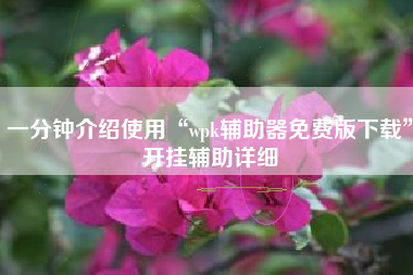 一分钟介绍使用“wpk辅助器免费版下载”开挂辅助详细