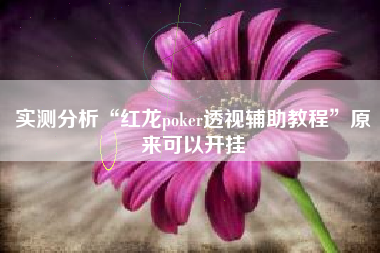 实测分析“红龙poker透视辅助教程	”原来可以开挂