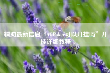 辅助最新信息“AGPoker可以开挂吗	”开挂详细教程