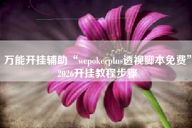 万能开挂辅助“wepokerplus透视脚本免费”2026开挂教程步骤