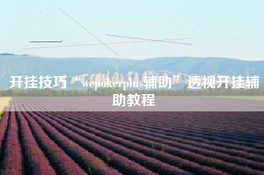 开挂技巧“wepokerplus辅助	”透视开挂辅助教程