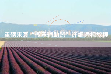 重磅来袭“微乐辅助器”详细透视教程